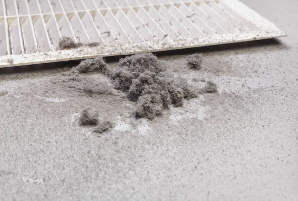 Best Professional Duct Cleaning Services  in Barnhart, MO
