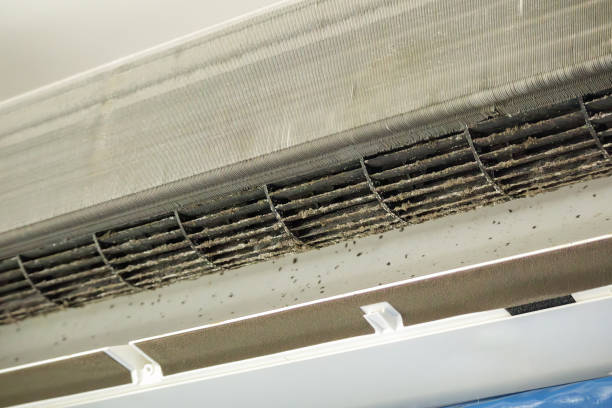 Best HVAC Air Duct Cleaning  in Barnhart, MO